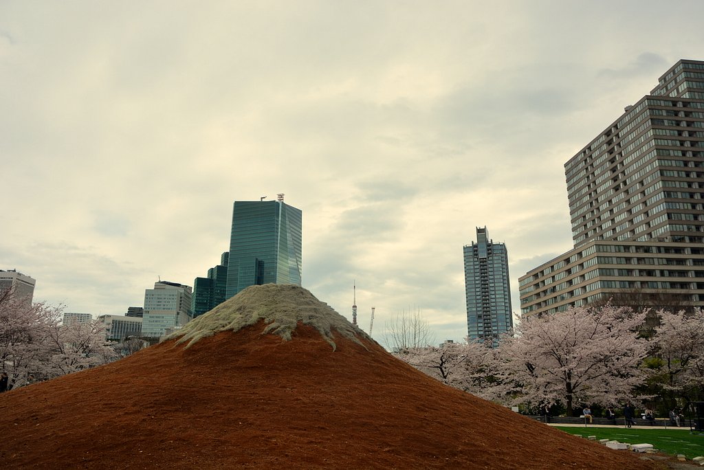 江戸富士と桜