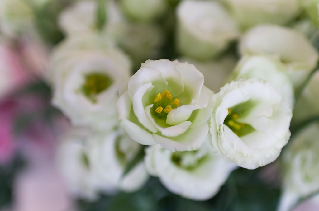 SIGMA 30mm F1.4 DC HSM