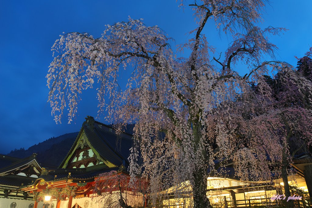 Otus 28mm F1.4 ZF2