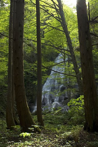 滝　1