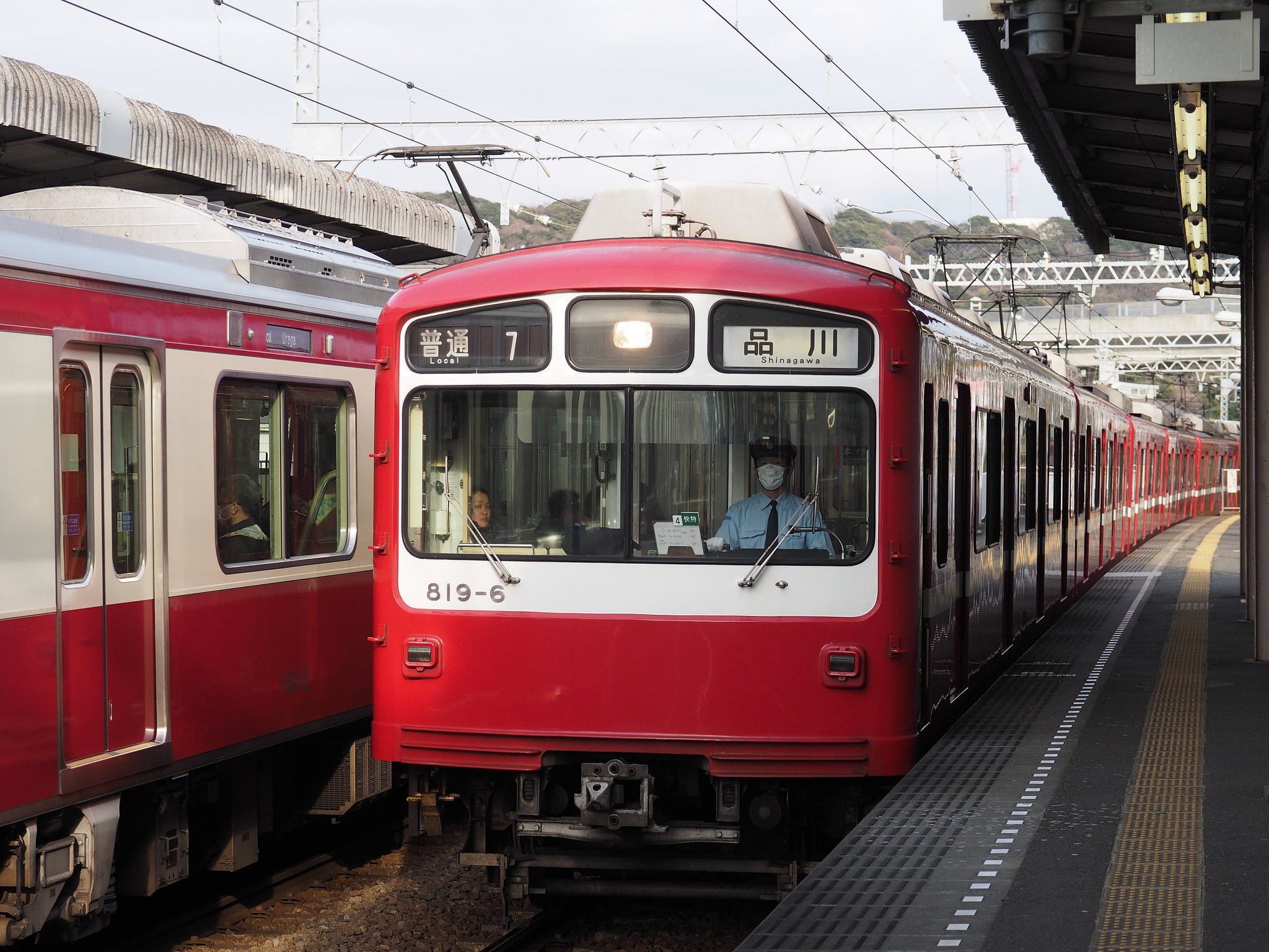 ダルマと呼ばれて