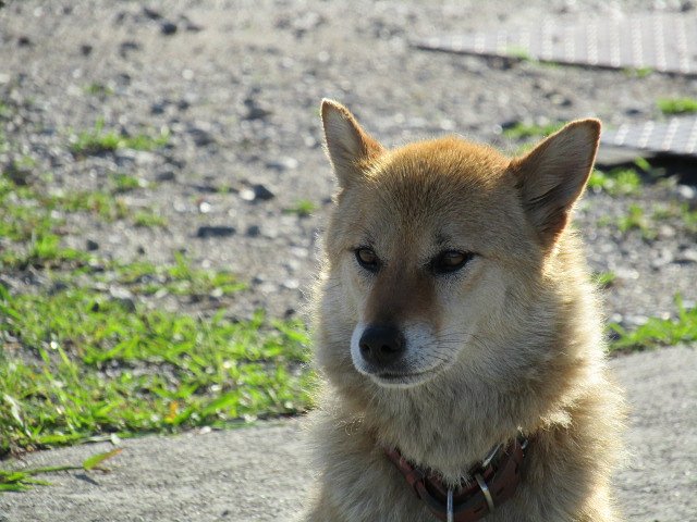ポカポカ陽気にご満悦です