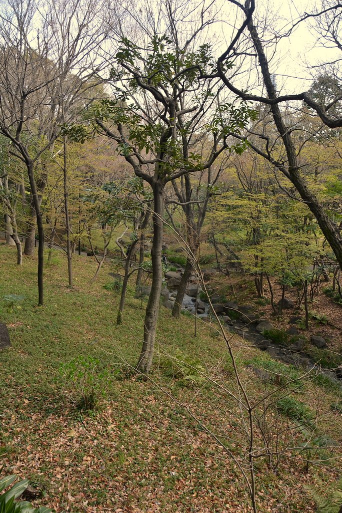 都心の風景