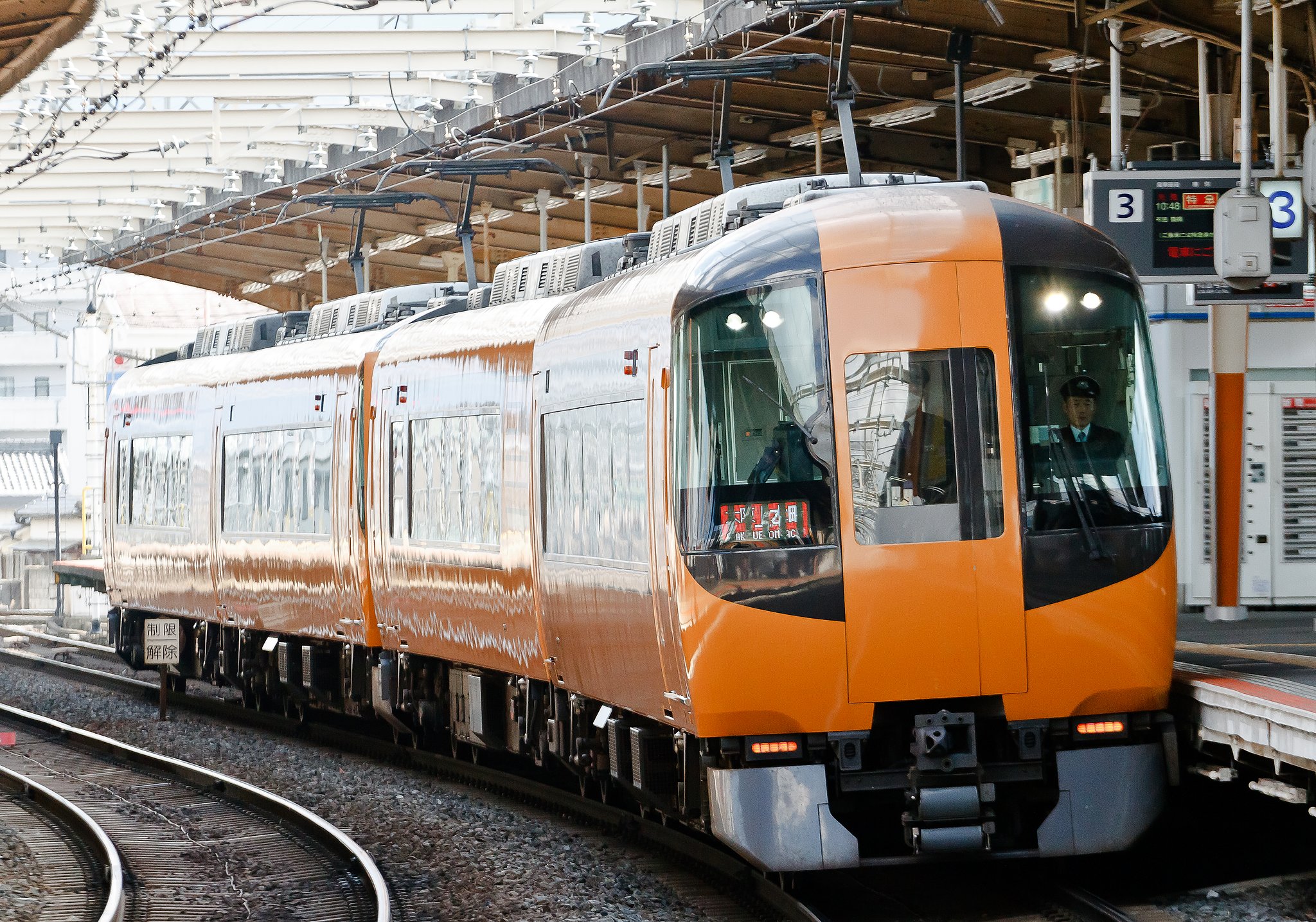 スズメバチ