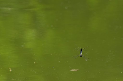アクロバット飛行