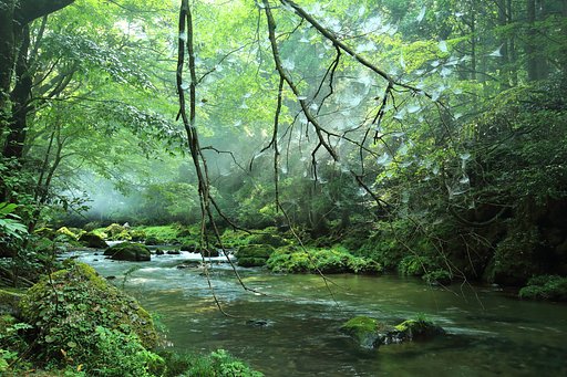 深山緑渓
