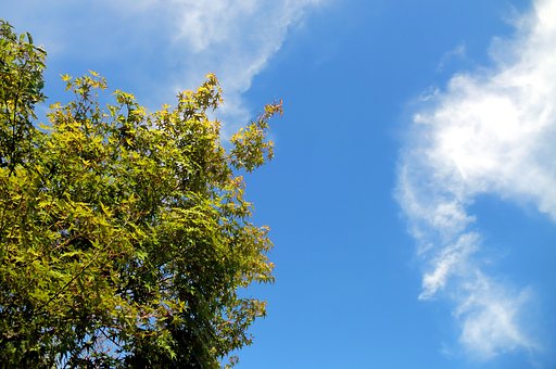 暑～い青空