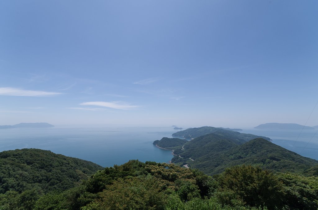 埋立免許