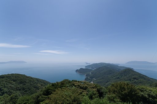 埋立免許