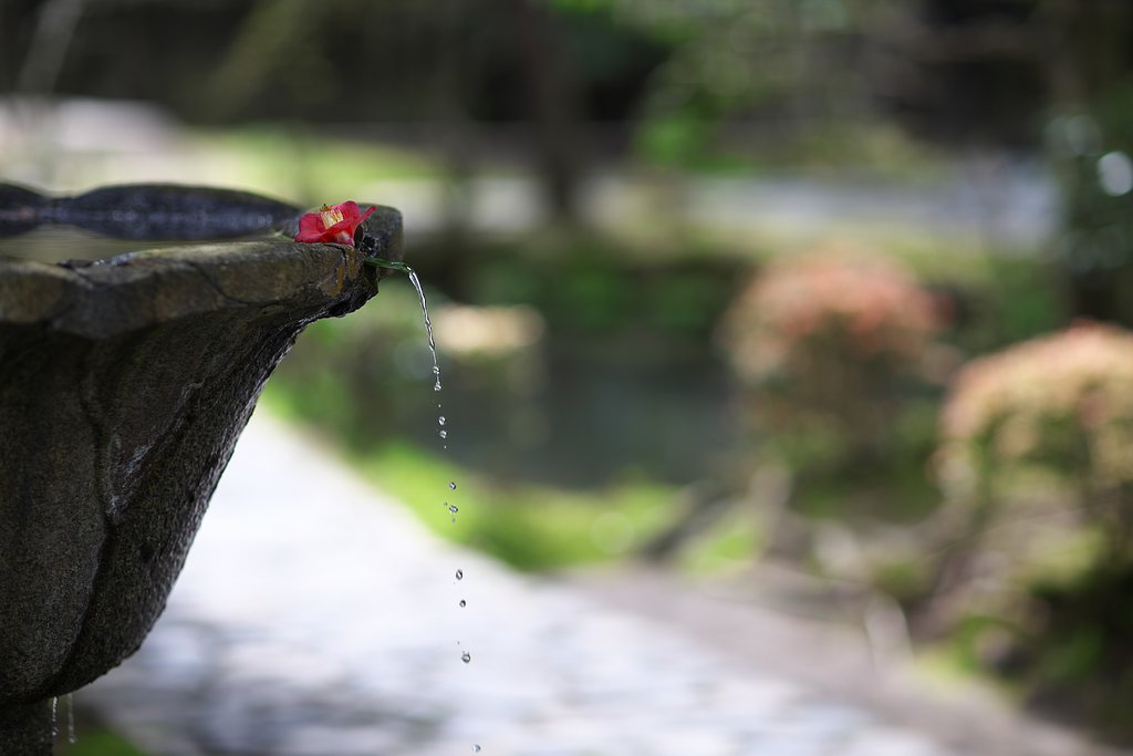 法然院にて
