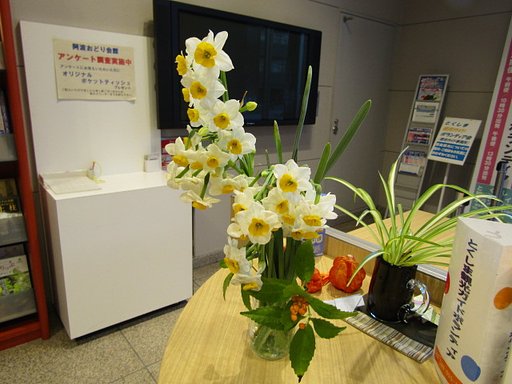 ラッパ水仙が受付カウンターにある風景