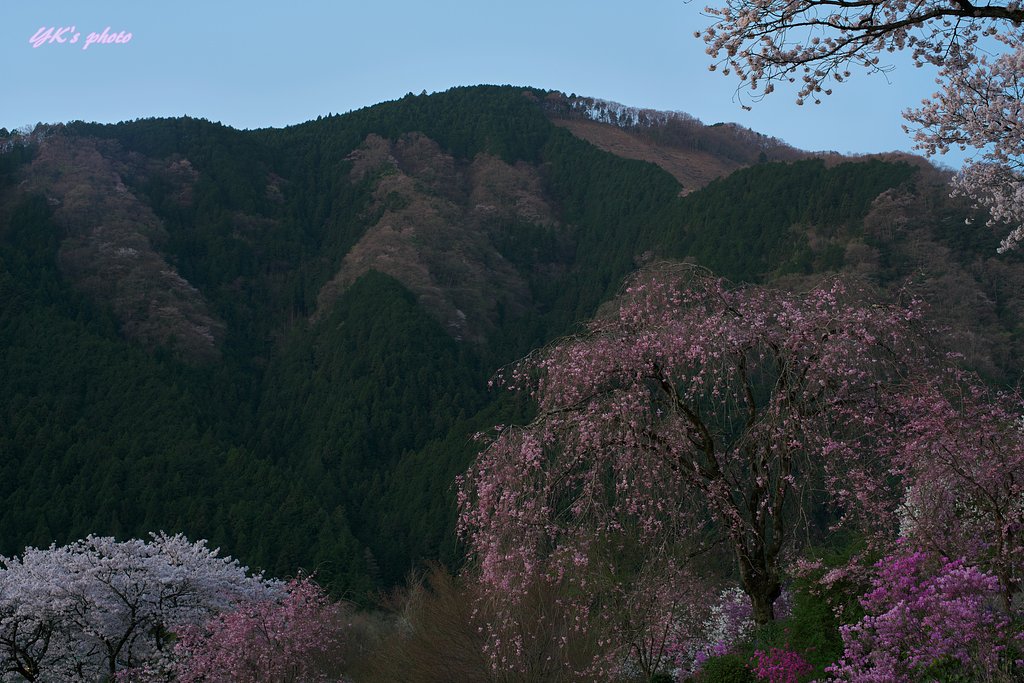 初めての場所