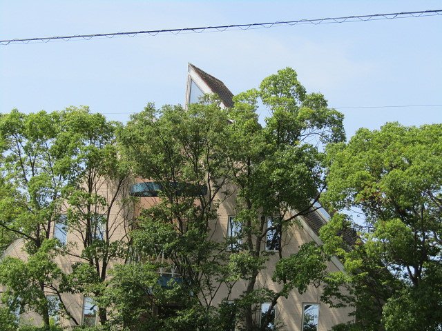 旅の楽しみ樹木に囲まれて食事かな