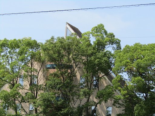 旅の楽しみ樹木に囲まれて食事かな