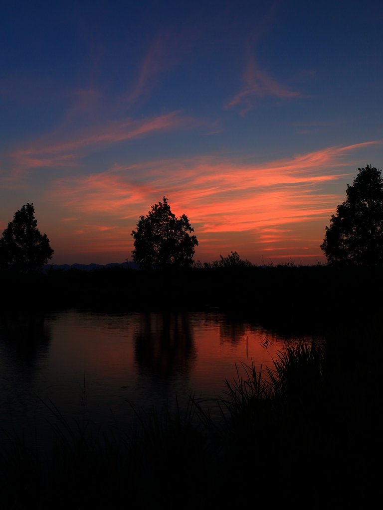 曽根沼の夕暮れ