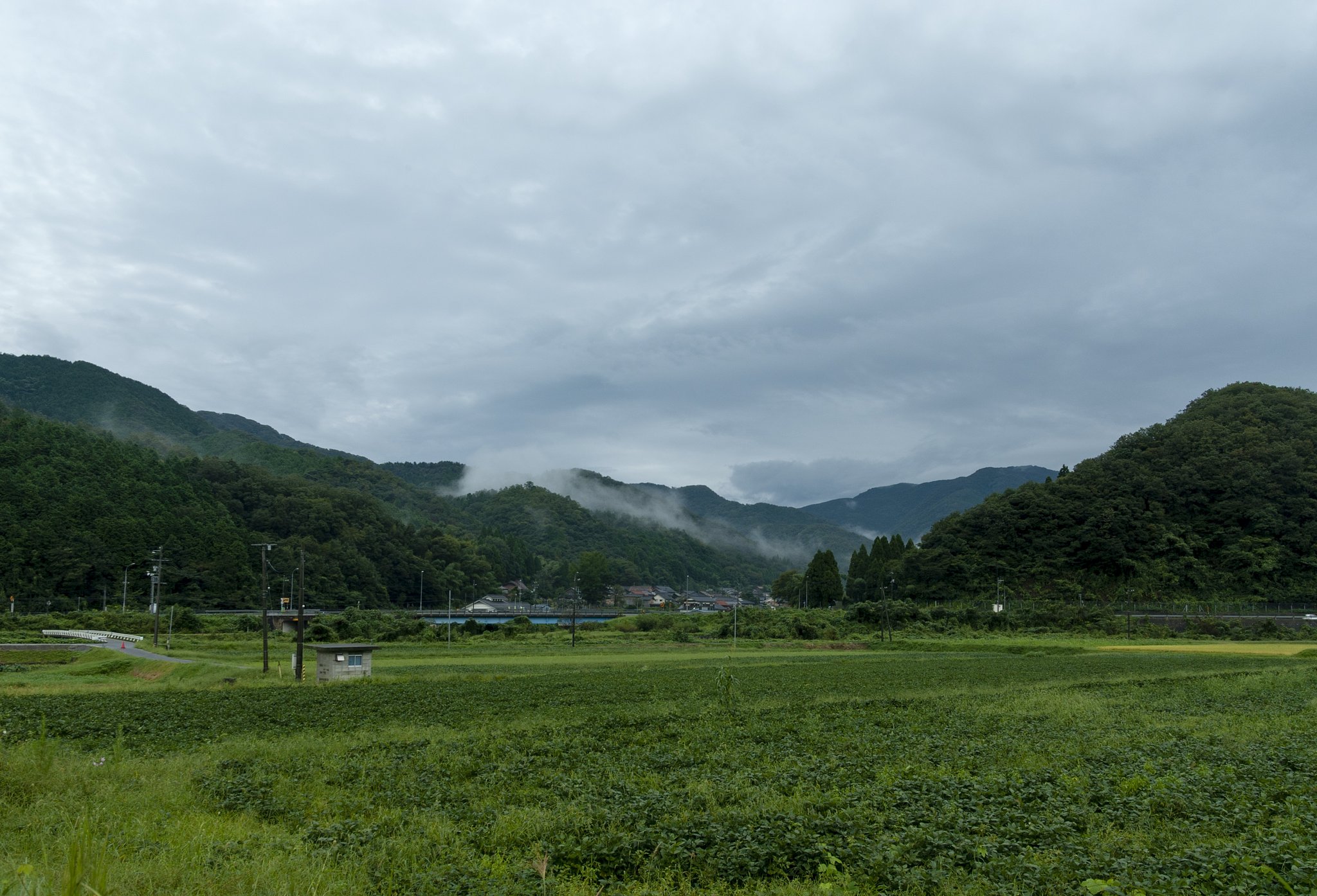 雨降りの朝。