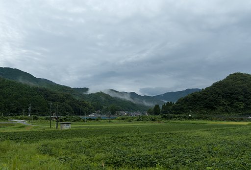 雨降りの朝。