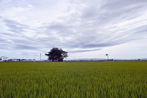 津軽平野