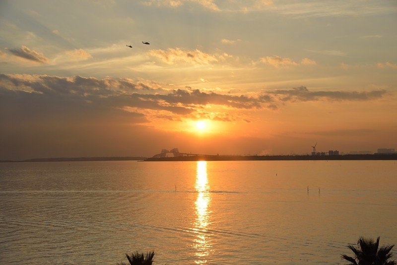 夕日