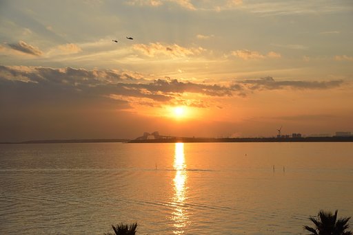 夕日