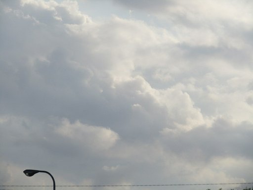 今にも降りそうな空模様