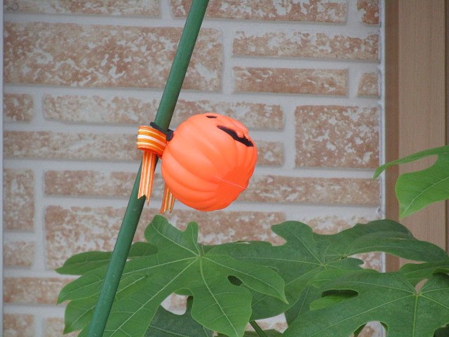 観葉植物に玩具をトッピング、、遊び心満点です