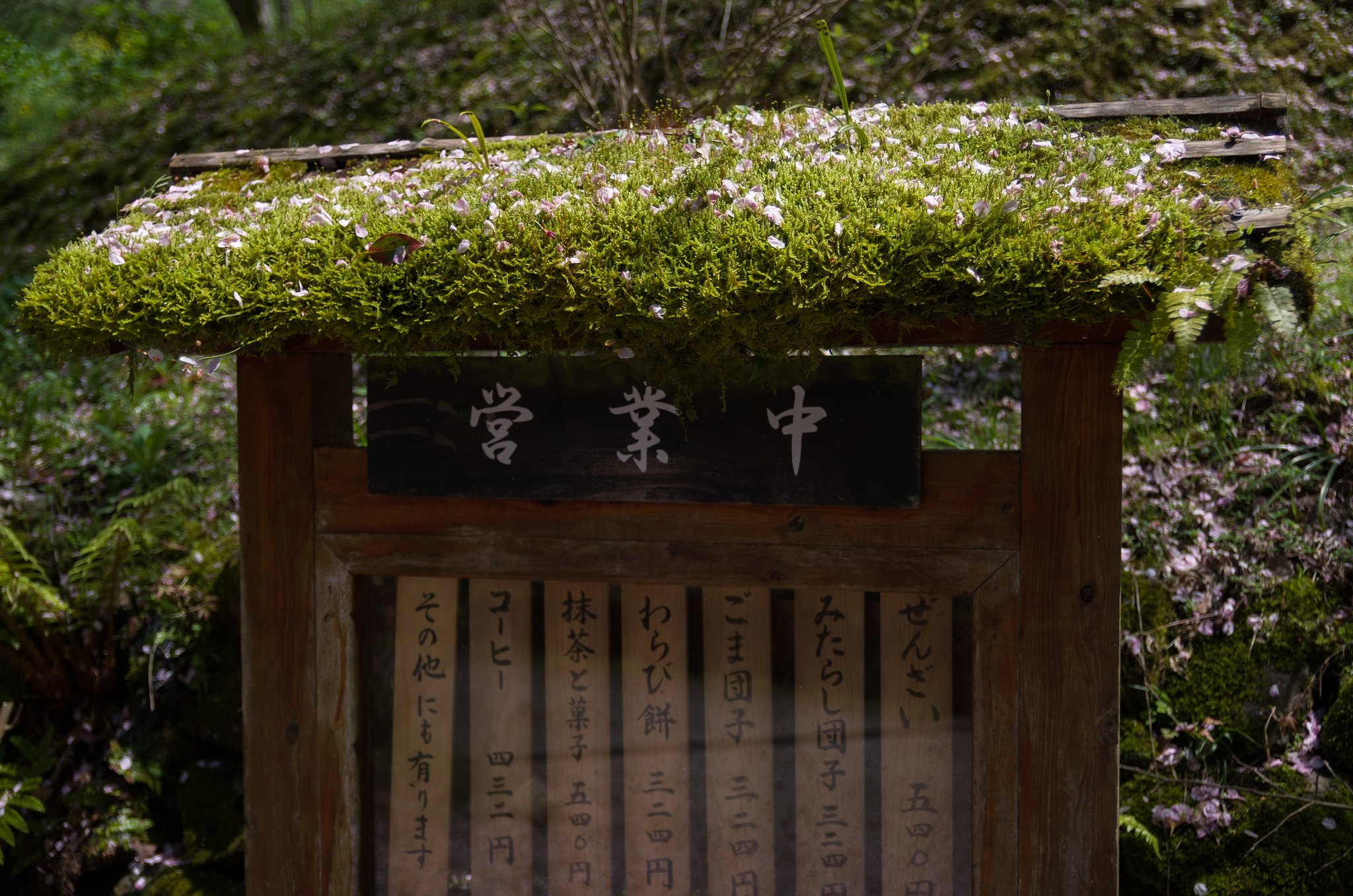 花びら