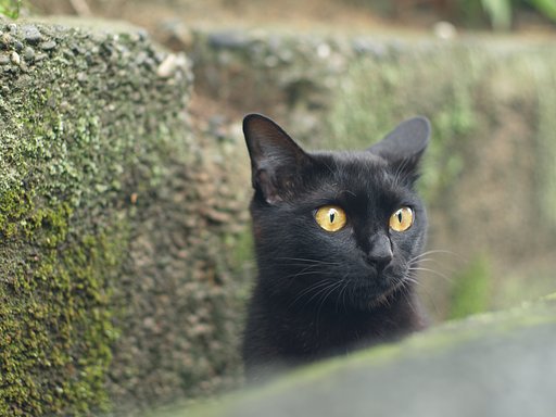 久々にお邪魔
