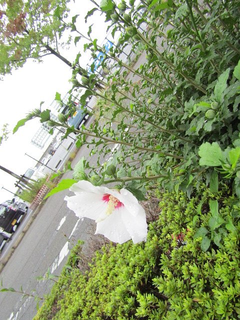 お店に来るお客様に見て楽しんでくれるかな？