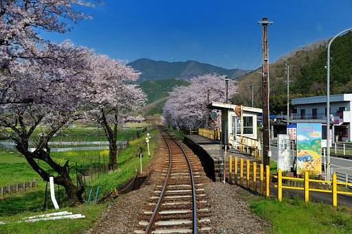 ローカル線　車窓の春