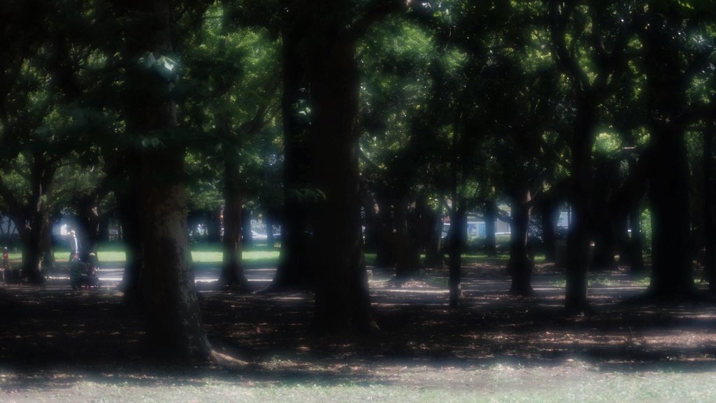 夏の木陰で