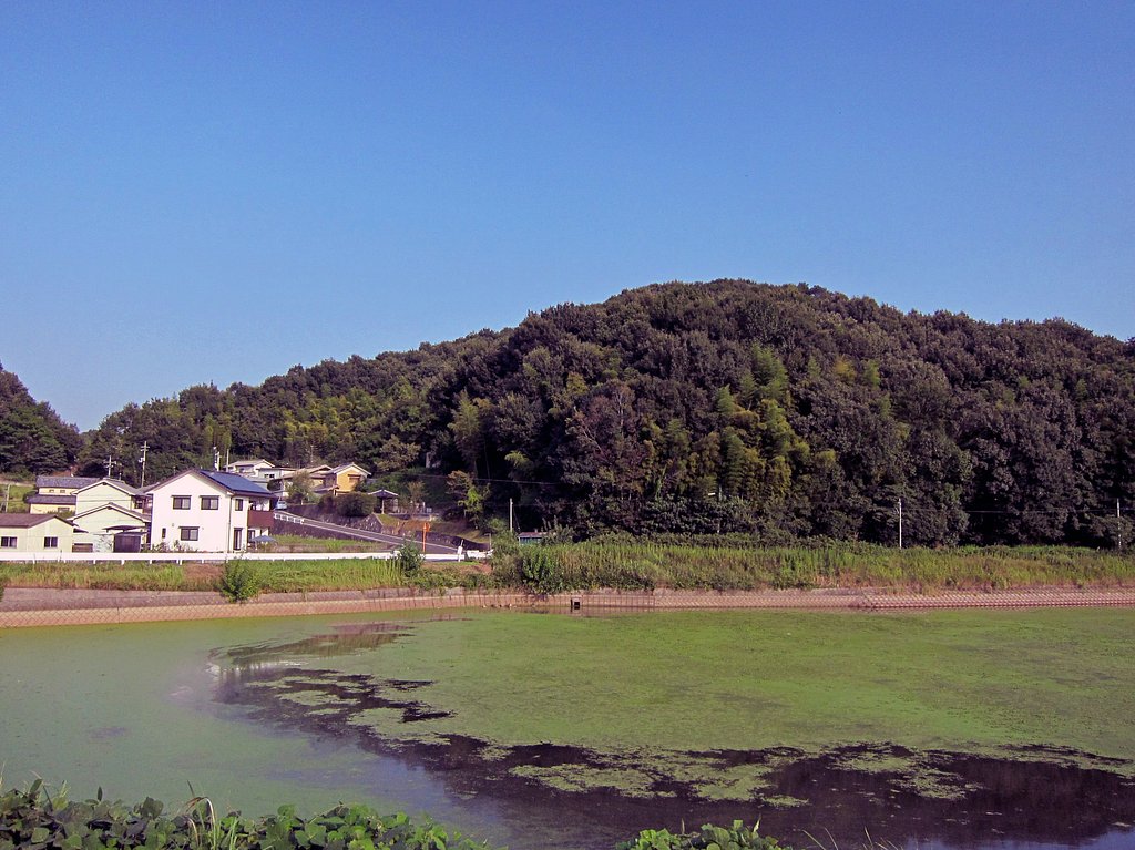 青【天】と緑色の池