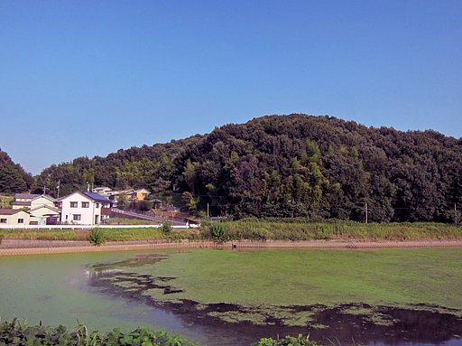 青【天】と緑色の池