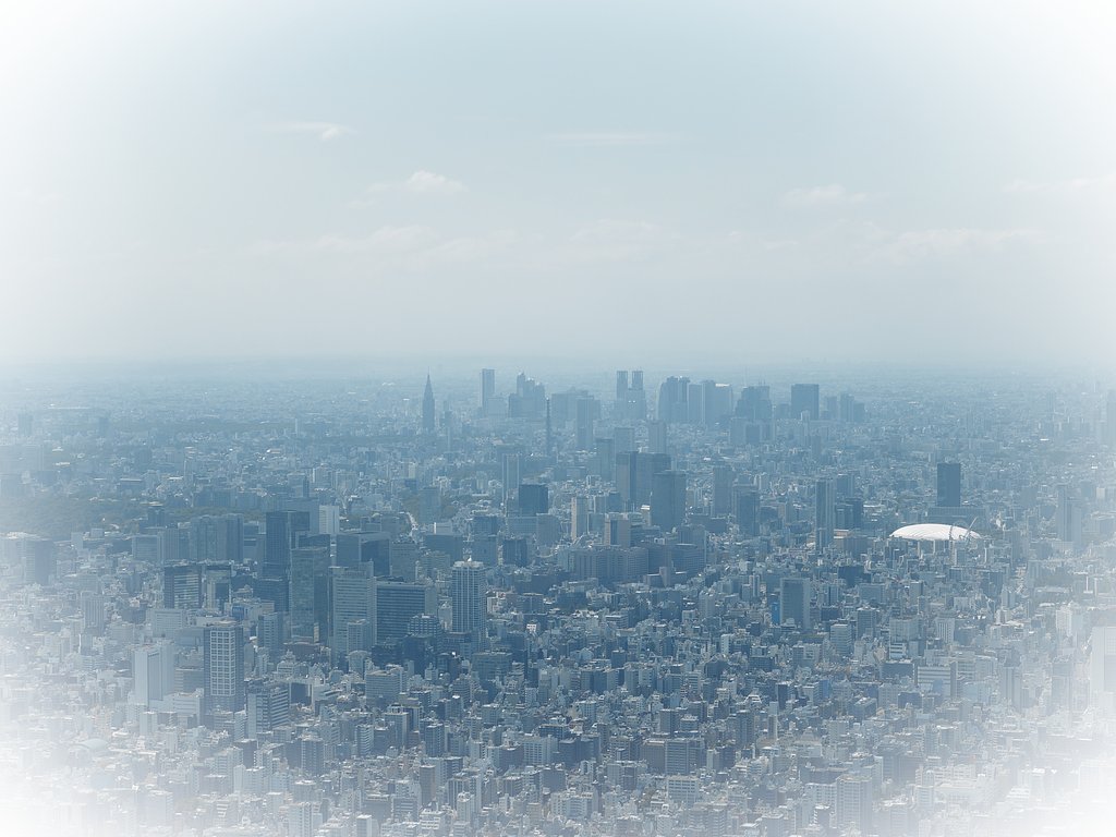 街を望む