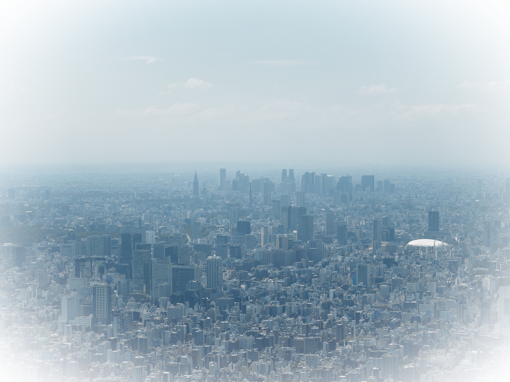 街を望む
