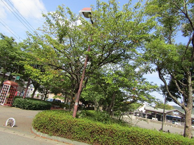 ４４番目の札所なんです