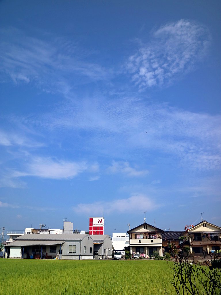 【天】高くその2