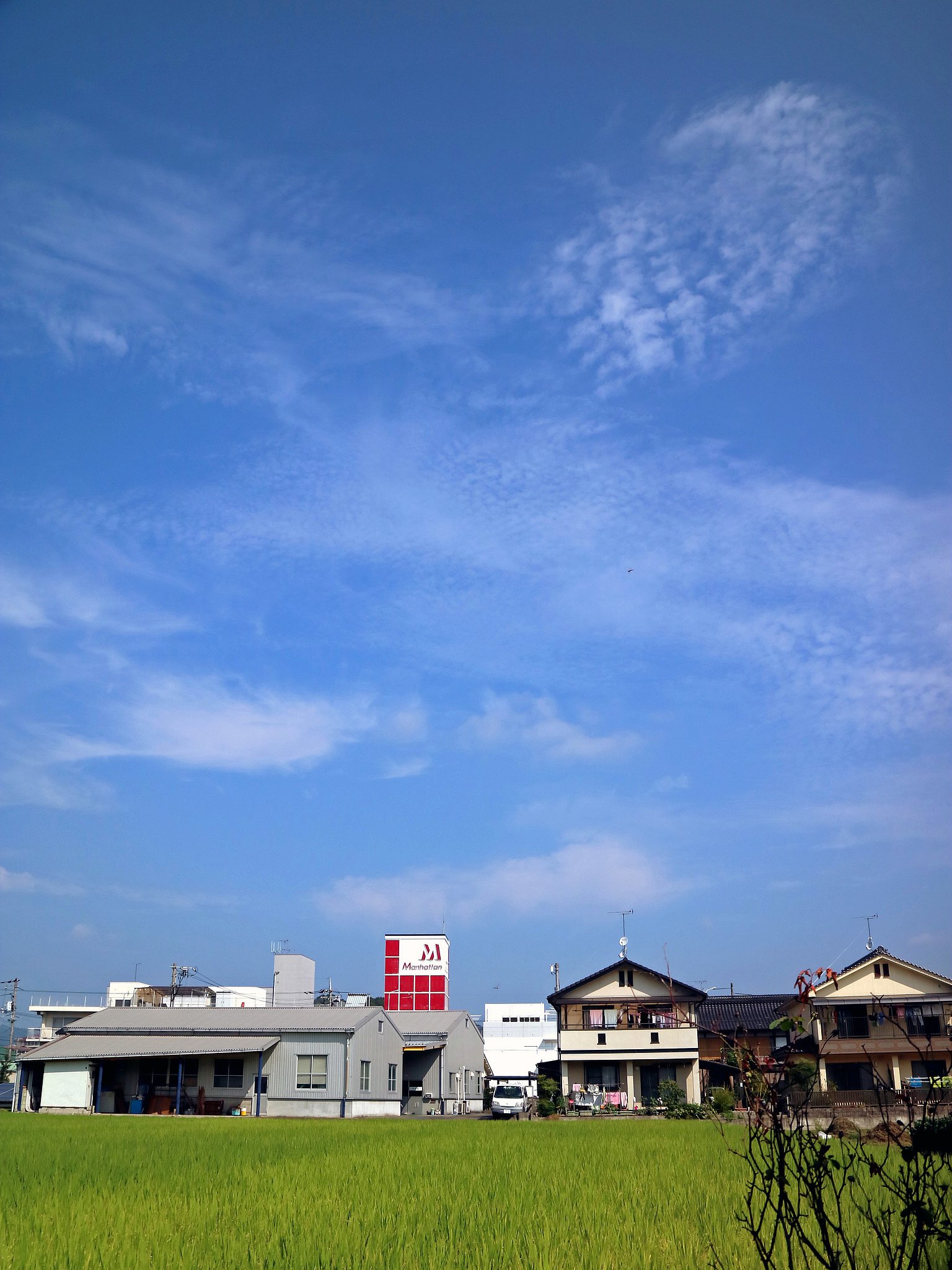 【天】高くその2