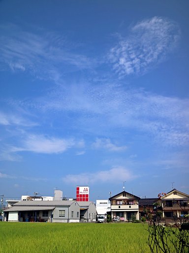 【天】高くその2