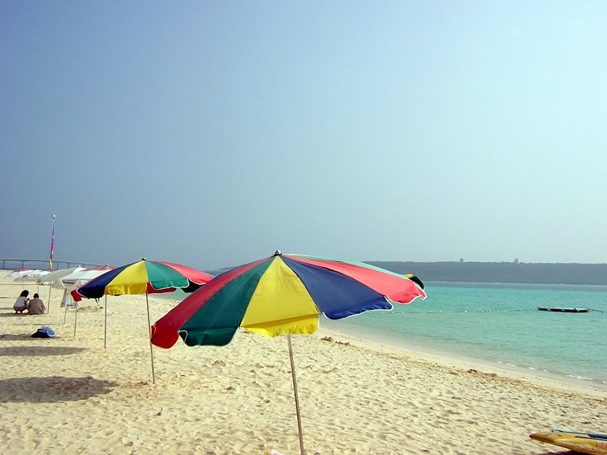 海