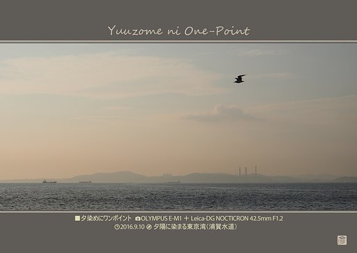 夕染めにワンポイント