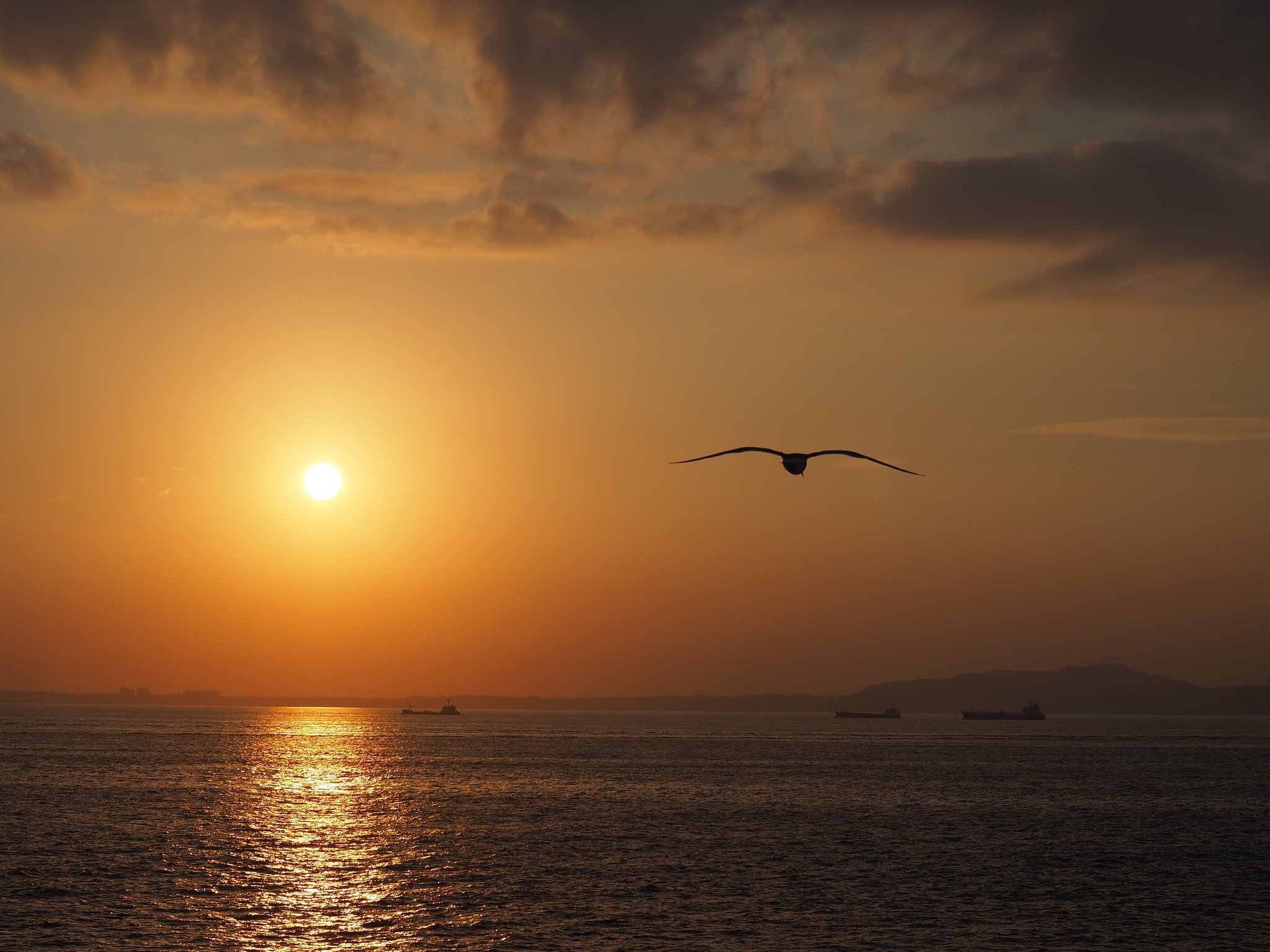 夕日のウィンク