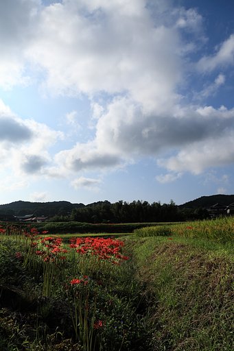 佐賀県有田町にて