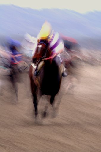草競馬。