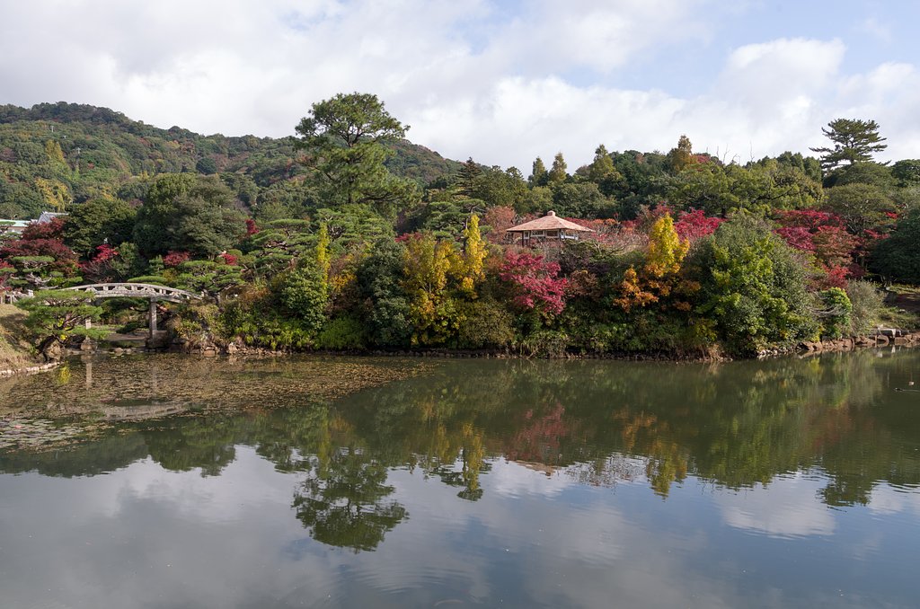 紅葉の庭園