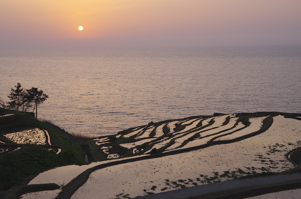 夕暮れの千枚田