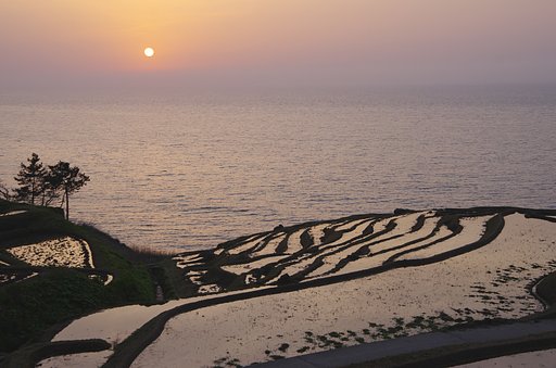 夕暮れの千枚田