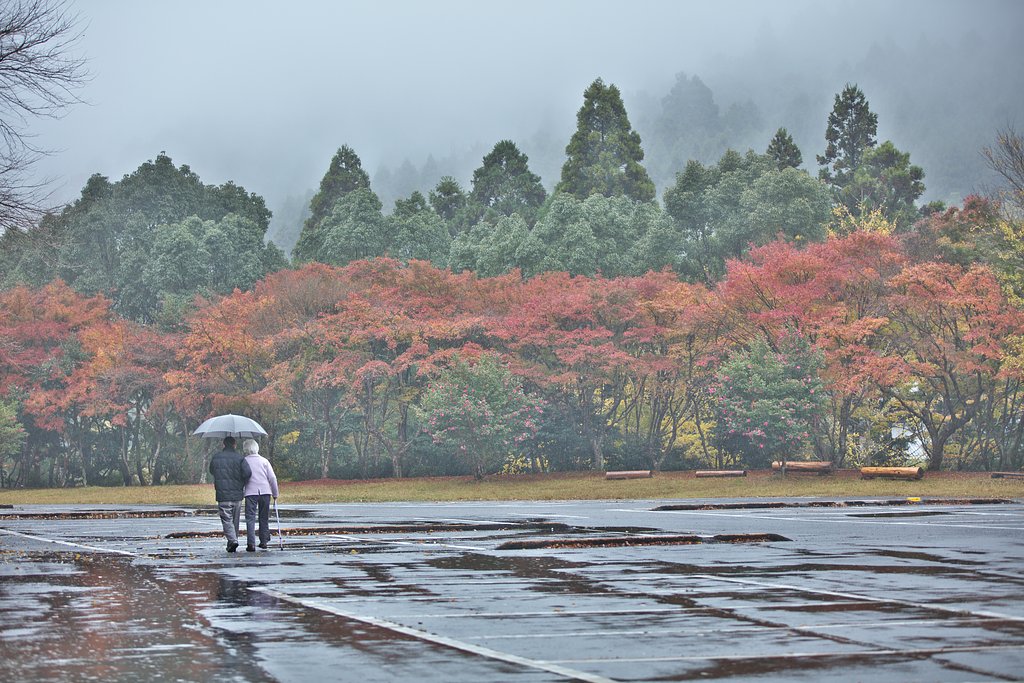 雨の日に