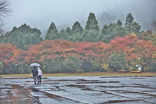 雨の日に