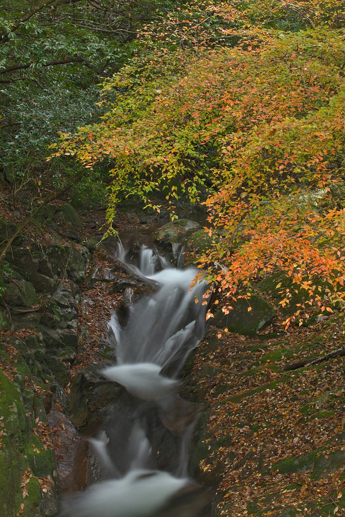 EF70-200 F2.8L IS Ⅱ